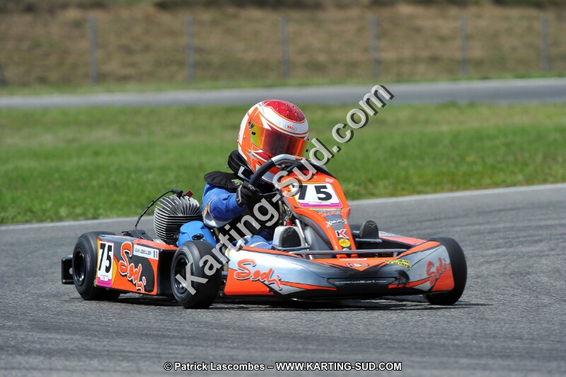 DSC_ (385).jpg